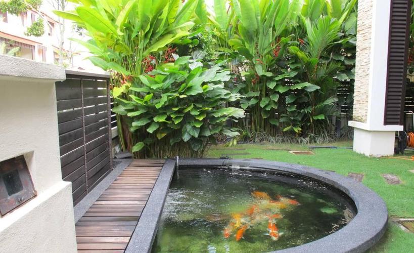 广州小型庭院鱼池装修