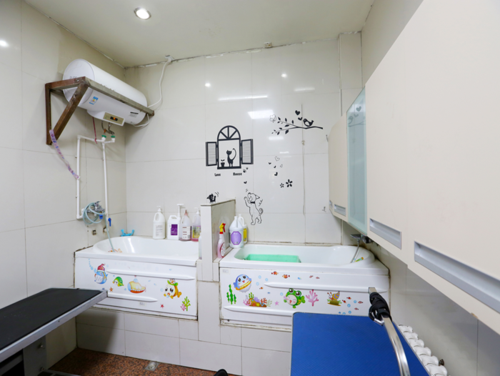 广州动物房洁净室装修要求的相关图片