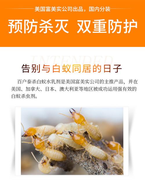 广州家庭装修白蚁灭治药的相关图片