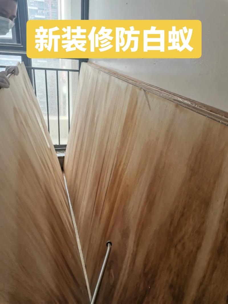 广州家庭装修白蚁防治电话的相关图片