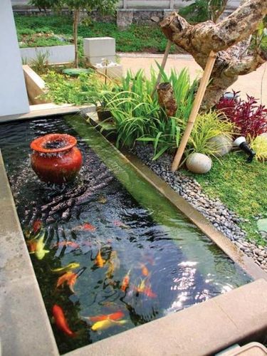 广州小型庭院鱼池装修的相关图片