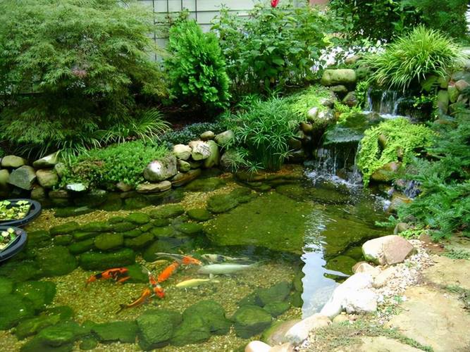 广州日式风格庭院鱼池装修的相关图片