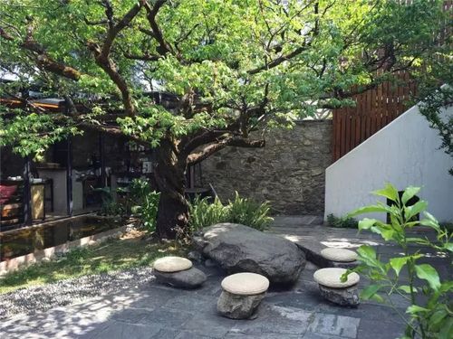 广州民宿花园庭院装修的相关图片